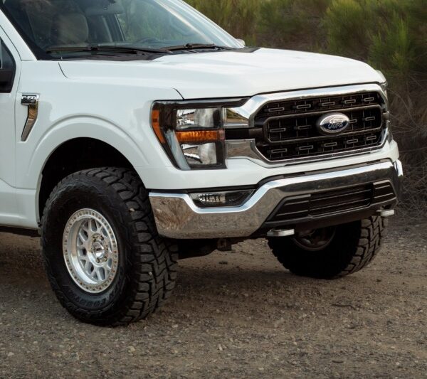 ZL1 Addons F-150 Big-D Tow Hooks for Ford F-150