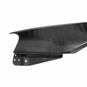 Seibon NSM-Style Carbon Fiber Fenders for 1999-2002 Nissan Skyline R34 GT-R