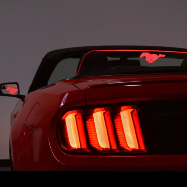 FFP 2015+ Mustang Convertible WindRestrictor® Add On Front Mount for Mustang EcoBoost