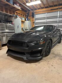 Muscle Auto Zone MAZ Mustang S550 Viper AMS Carbon Fiber Hood for Mustang EcoBoost