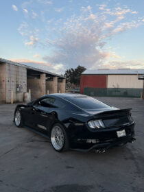 Muscle Auto Zone MAZ Mustang S550 Carbon Fiber Trunk With Ducktail for Mustang GT - Image 10