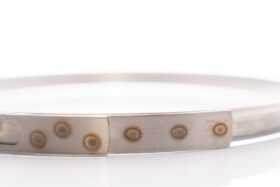Precision Turbo V-Band Clamp PROMOD