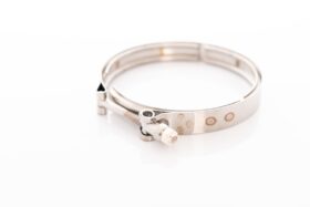 Precision Turbo V-Band Clamp PROMOD