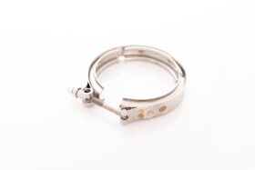 Precision Turbo V-Band Clamp PROMOD