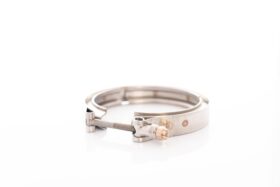 Precision Turbo V-Band Clamp PROMOD