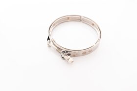 Precision Turbo V-Band Clamp PROMOD
