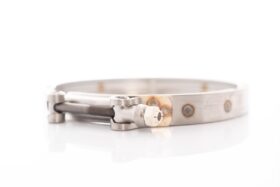 Precision Turbo V-Band Clamp PROMOD