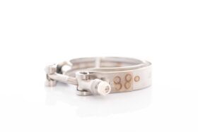Precision Turbo V-Band Clamp T4