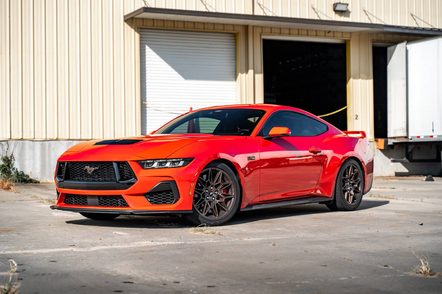 2015-2026 Ford Mustang – Steeda MagneRide Sport Progressive Lowering Springs (2)