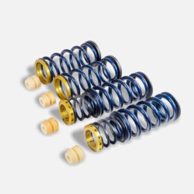 RYFT 2018-2020 Ferrari 488 Pista / Spider Ferrari 488 GTB / 488 Pista Performance Spring Kit