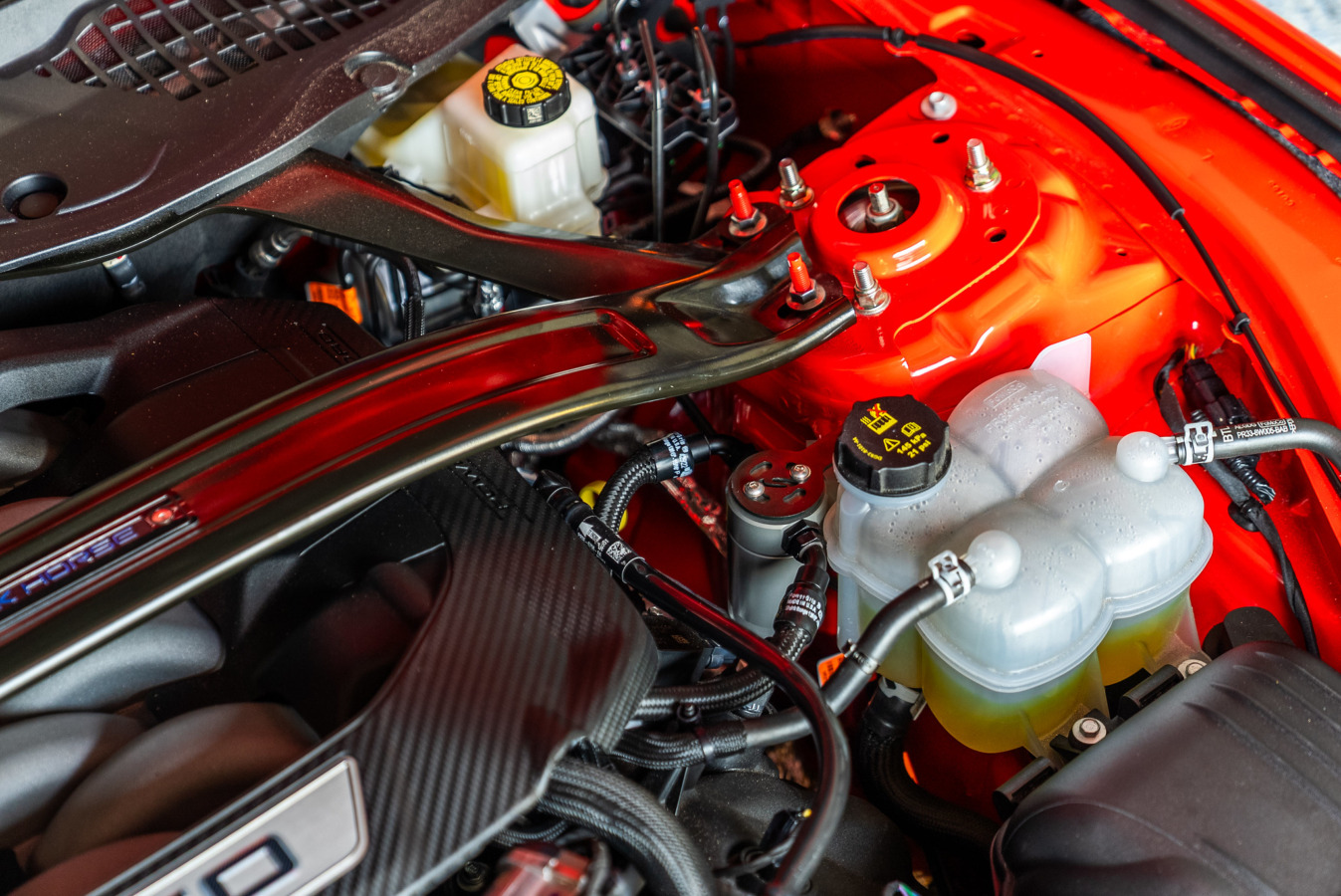 2024-2025 Ford Mustang Dark Horse/GT – Steeda 5.0L Premium Oil Separator (2)