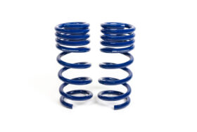 2015-2026 Ford Mustang – Steeda MagneRide Sport Progressive Lowering Springs (5)