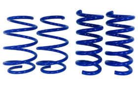 2015-2026 Ford Mustang Bullitt/GT – Steeda Drag Springs - Linear