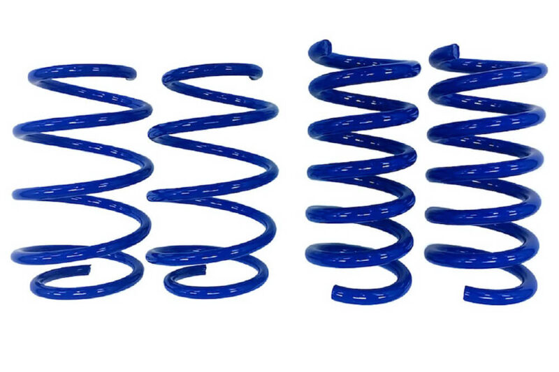2015-2026 Ford Mustang Bullitt/GT – Steeda Drag Springs - Linear