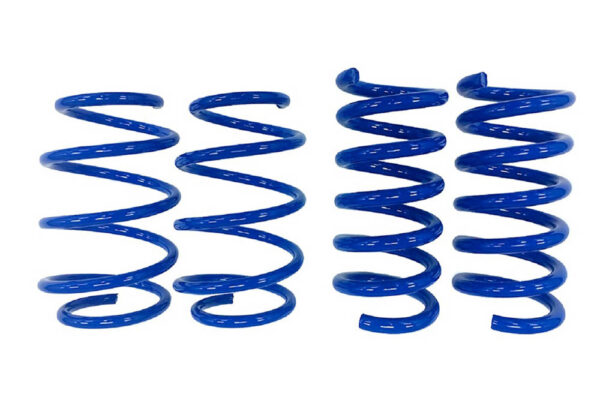 2015-2026 Ford Mustang – Steeda Minimum Drop Lowering Springs - Linear