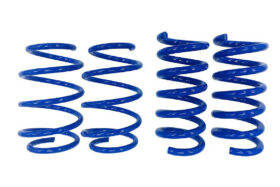 2015-2026 Ford Mustang – Steeda Minimum Drop Lowering Springs - Linear