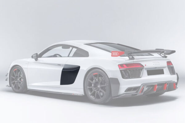 DarwinPRO 2016-2025 Audi R8 Coupe & Spyder GT4 Style Dry Carbon Fiber Side Door Panel Blades