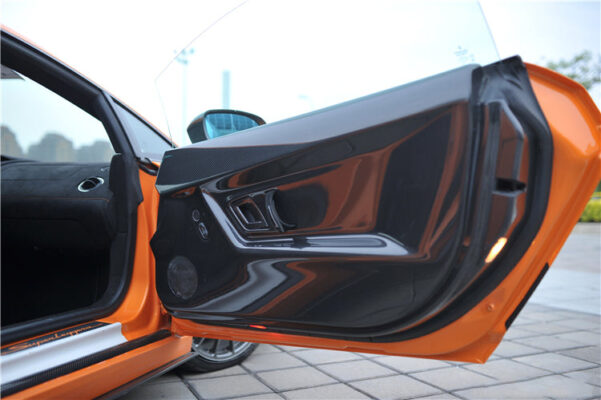 DarwinPRO 2004-2014 Lamborghini Gallardo Coupe Carbon Fiber Inner Door Panels