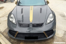 DarwinPRO 2009-2016 Porsche Panamera 970 MSY Style Hood - image 2