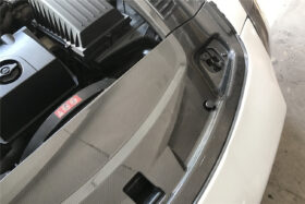 DarwinPRO 2010-2015 Mercedes Benz W197 SLS AMG Carbon Fiber Radiator Cover - image 3