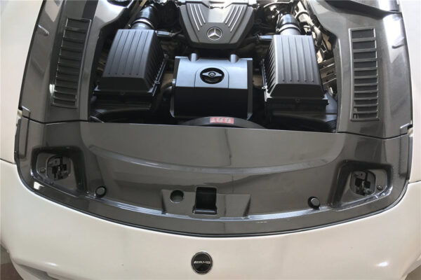 DarwinPRO 2010-2015 Mercedes Benz W197 SLS AMG Carbon Fiber Radiator Cover