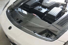 DarwinPRO 2010-2015 Mercedes Benz W197 SLS AMG Carbon Fiber Radiator Cover - image 6