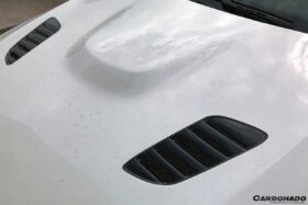 DarwinPRO 2008-2012 BMW 3 Series E90 LCI VRS Style Carbon Fiber Hood - image 5