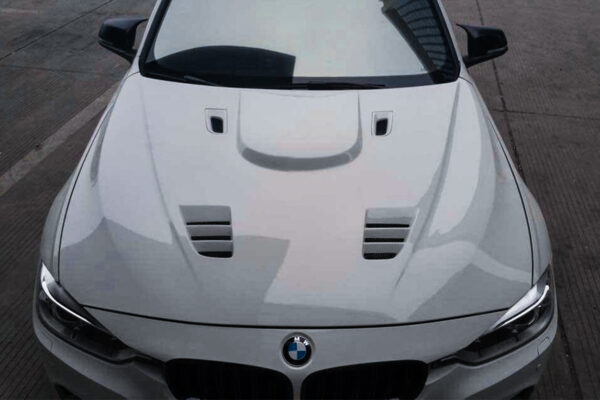DarwinPRO 2013-2019 BMW 3 Series F30 F35 RZ Style Carbon Fiber Hood