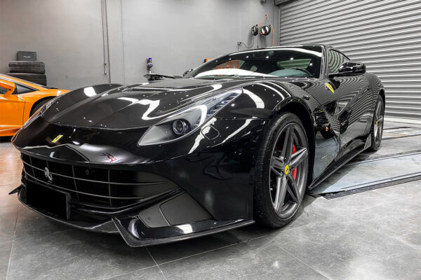 DarwinPRO 2012-2017 Ferrari F12 Berlinetta Carbon Fiber Front Lip Carbonado (RS)
