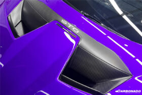 DarwinPRO 2021-UP Lamborghini Huracan STO Dry Carbon Fiber Hood Vents - image 6