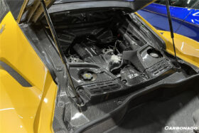 DarwinPRO 2020-UP Maserati MC20 MCPura Dry Carbon Fiber Engine Cover Replacement - image 9