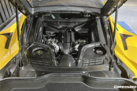 DarwinPRO 2020-UP Maserati MC20 MCPura Dry Carbon Fiber Engine Cover Replacement - image 2