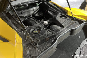 DarwinPRO 2020-UP Maserati MC20 MCPura Dry Carbon Fiber Engine Cover Replacement - image 3