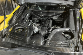 DarwinPRO 2020-UP Maserati MC20 MCPura Dry Carbon Fiber Engine Cover Replacement - image 4