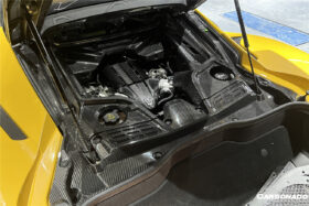 DarwinPRO 2020-UP Maserati MC20 MCPura Dry Carbon Fiber Engine Cover Replacement - image 6