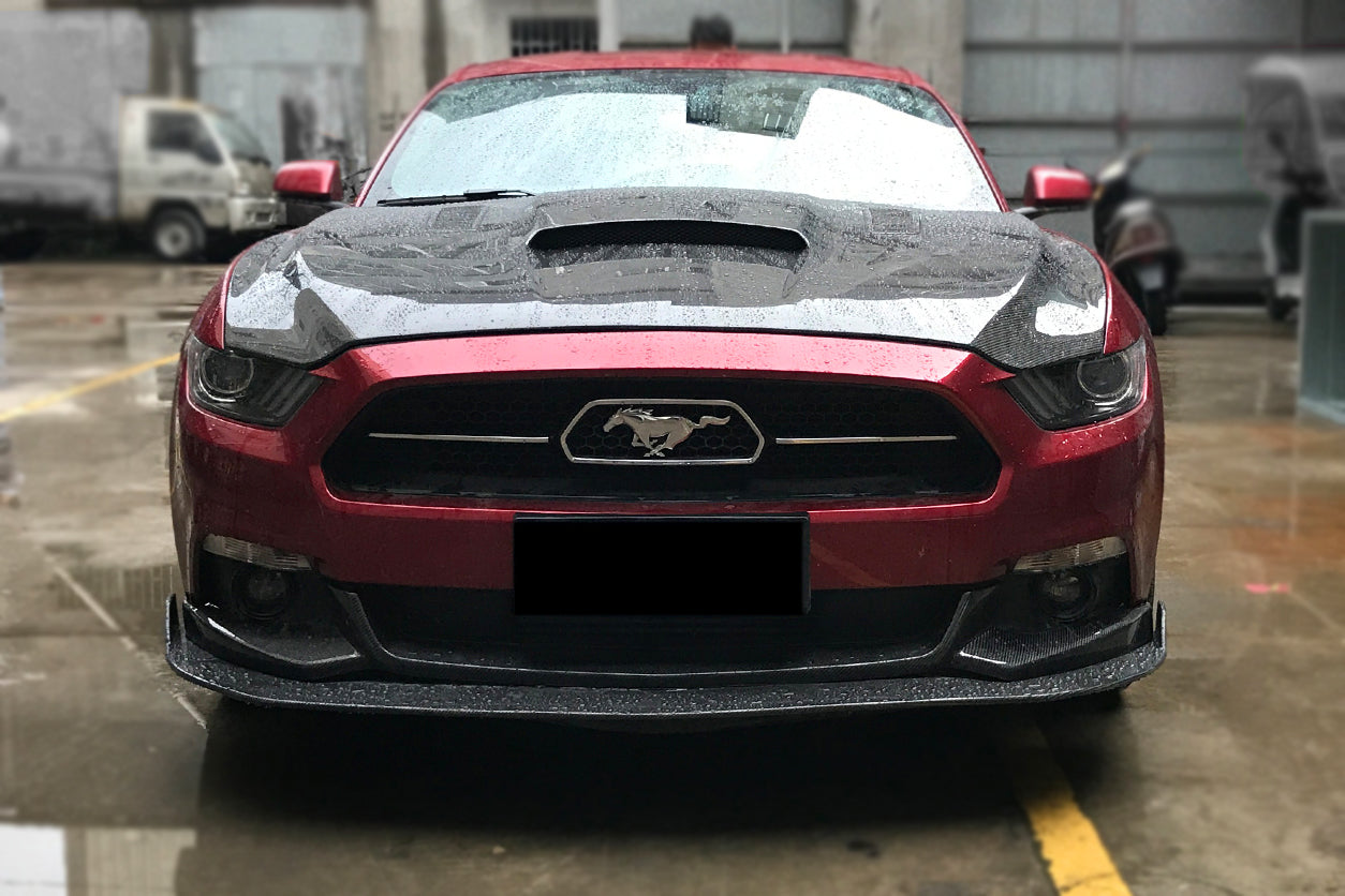 DarwinPRO 2015-2017 Ford Mustang HY Style Carbon Fiber Front Lip 2PCS