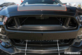 DarwinPRO 2015-2017 Ford Mustang TRU Style Carbon Fiber Front Bumper Down-Grille - image 5