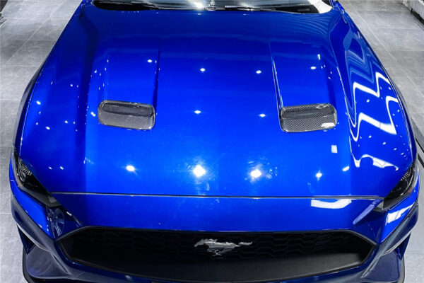 DarwinPRO 2018-2023 Ford Mustang Carbon Fiber Hood Vents