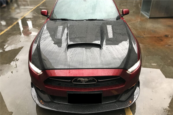 DarwinPRO 2015-2017 Ford Mustang  GT & V6 TRU Style Carbon Fiber Hood