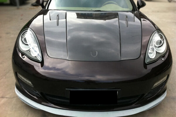 DarwinPRO 2009-2016 Porsche Panamera 970 Hood Carbonado (DI)