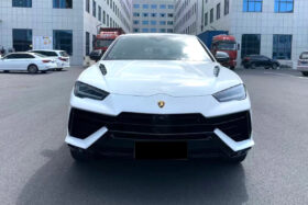 DarwinPRO 2023-2025 Lamborghini URUS S Performante Style Dry Carbon Fiber Hood - image 2