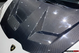 DarwinPRO 2015-2025 Lamborghini Huracan LP610 & LP580 & EVO & Tecnica BKSS Style Carbon Fiber Hood - image 7