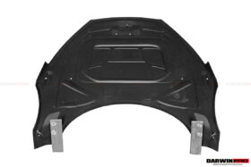 DarwinPRO 2006-2015 Audi R8 Coupe & Spyder Carbon Fiber Hood - image 7