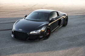 DarwinPRO 2009-2015 Audi R8 Coupe Spyder Style Side Blades - image 4