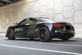 DarwinPRO 2009-2015 Audi R8 Coupe Spyder Style Side Blades - image 6