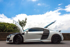 DarwinPRO 2009-2015 Audi R8 Coupe Spyder Style Side Blades - image 7