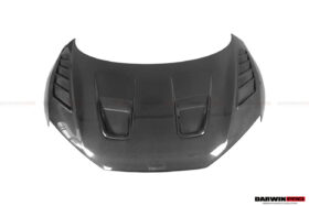 DarwinPRO 2016-2025 Audi R8 Coupe & Spyder IMPII Carbon Fiber Hood - image 12