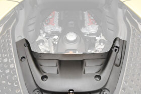 DarwinPro Aerodynamics DarwinPRO SF90 Spider OE Style Autoclave Carbon Fiber Engine Bay Interior (1 Piece) for Ferrari SF90