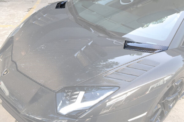 DarwinPRO 2011-2021 Lamborghini Aventador LP700 LP740 Coupe Roadster Hood Vents