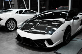 DarwinPRO 2009-2014 Lamborghini Gallardo IRON Style Hood - image 6